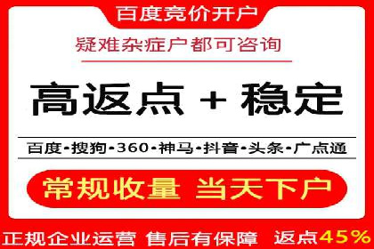 行业领先企业的SEM服务托管策略案例